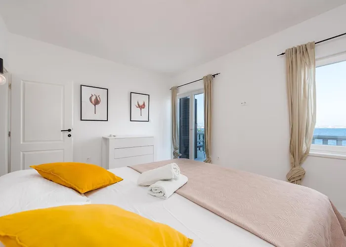 With A Unique View Preko